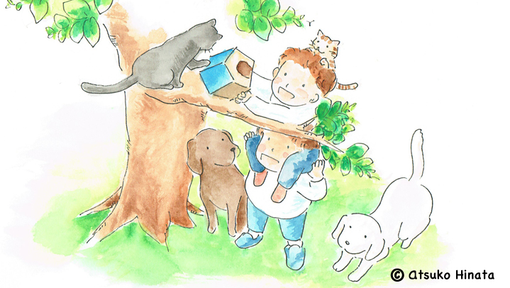 はっとり動物病院