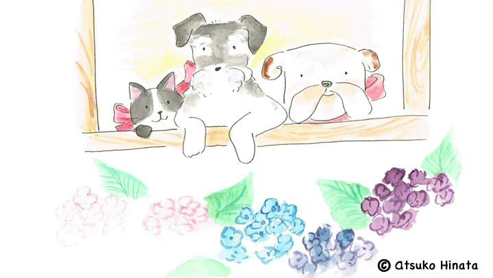 はっとり動物病院