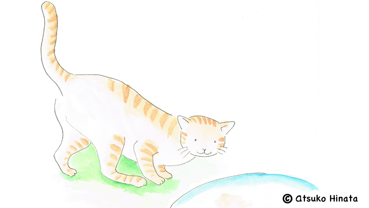はっとり動物病院