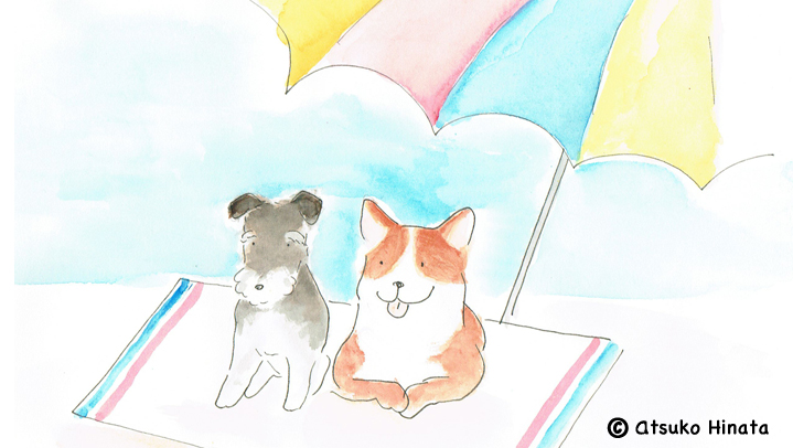 はっとり動物病院