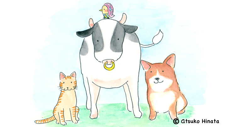 はっとり動物病院