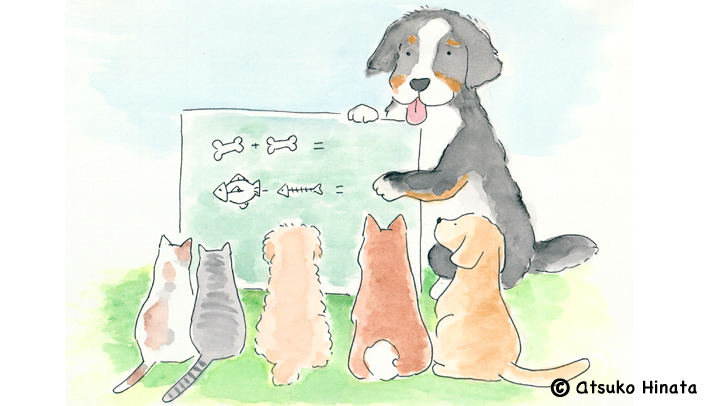 はっとり動物病院
