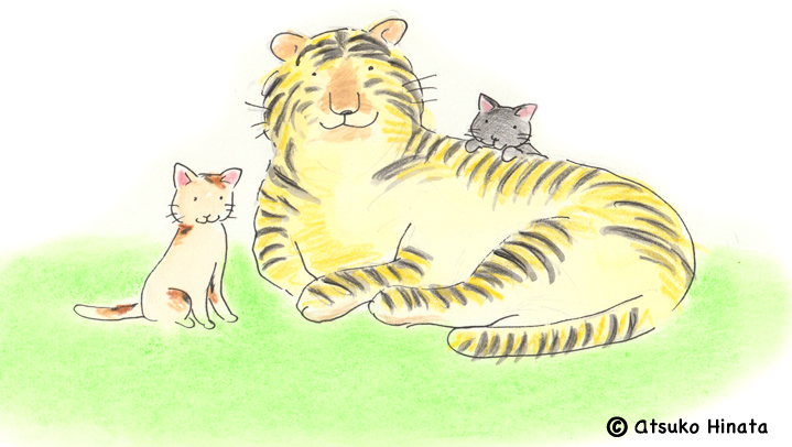 はっとり動物病院