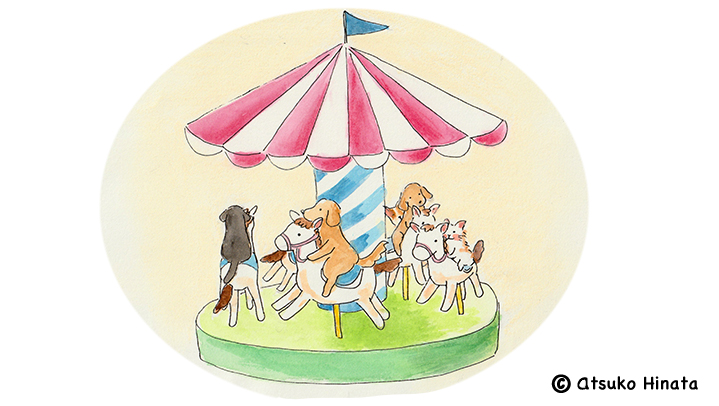 はっとり動物病院