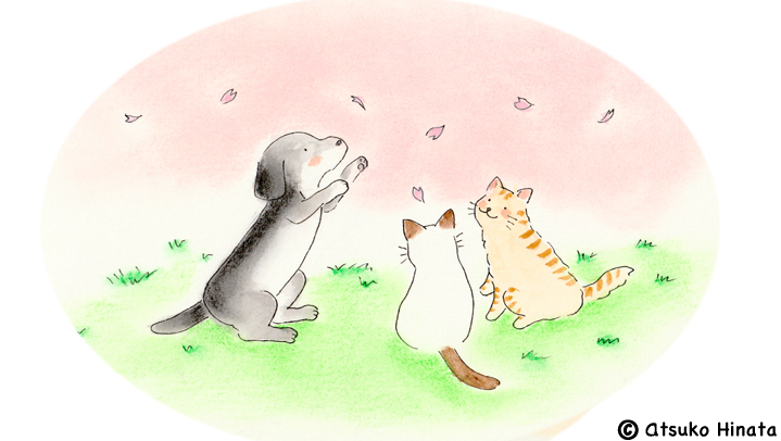 はっとり動物病院