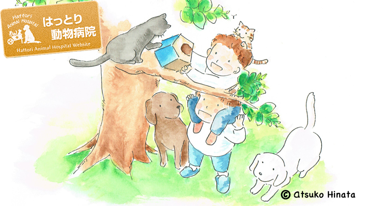 はっとり動物病院