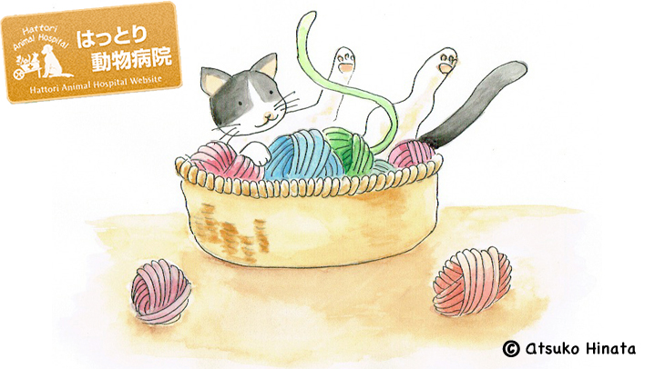 はっとり動物病院
