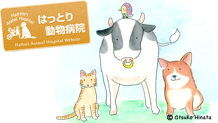 はっとり動物病院