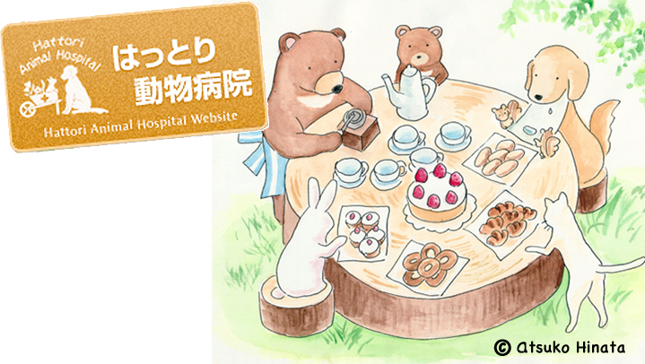 はっとり動物病院