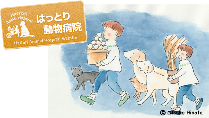 はっとり動物病院