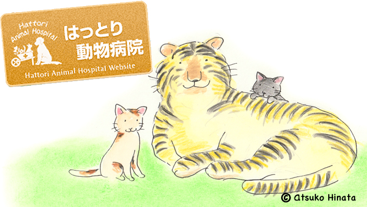 はっとり動物病院