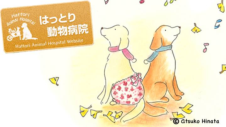 はっとり動物病院