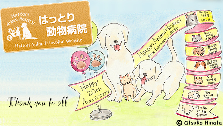 はっとり動物病院