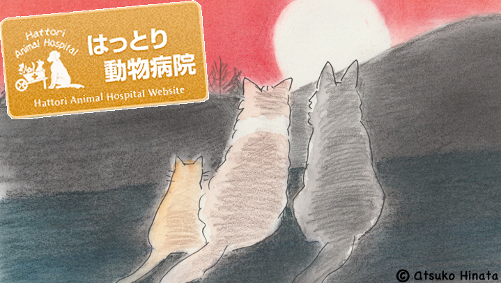 はっとり動物病院