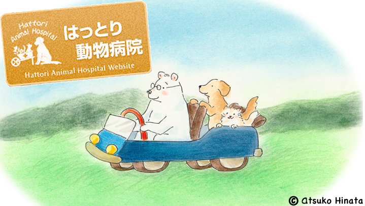 はっとり動物病院