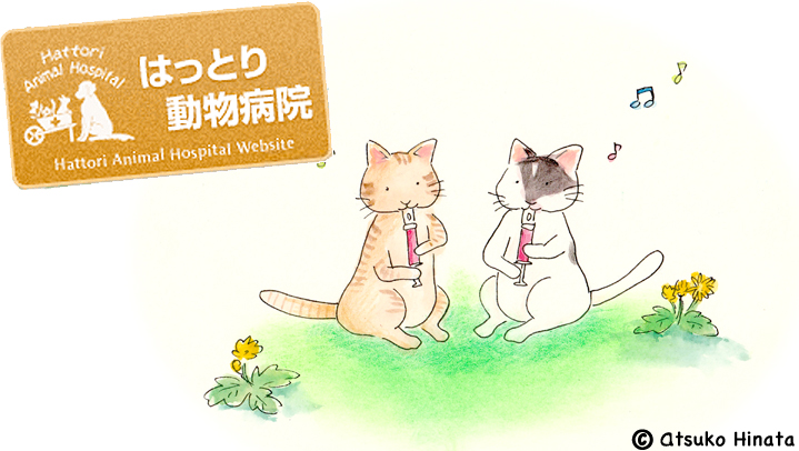 はっとり動物病院