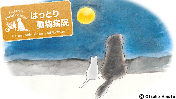 はっとり動物病院