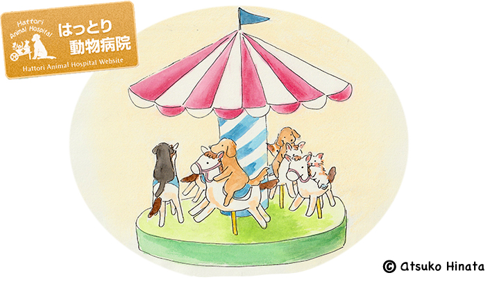 はっとり動物病院