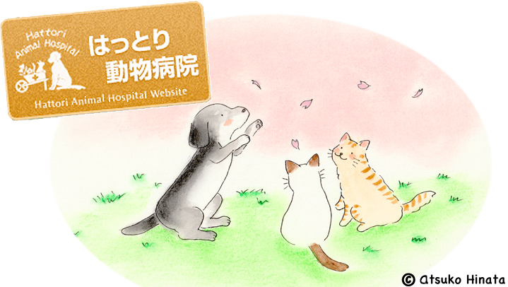 はっとり動物病院