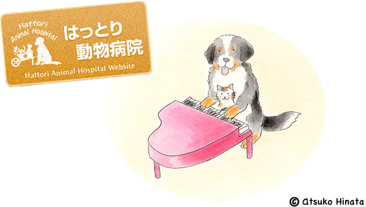 はっとり動物病院