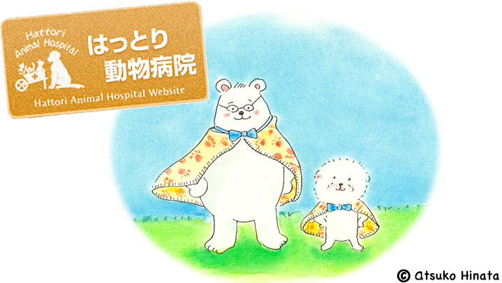 はっとり動物病院