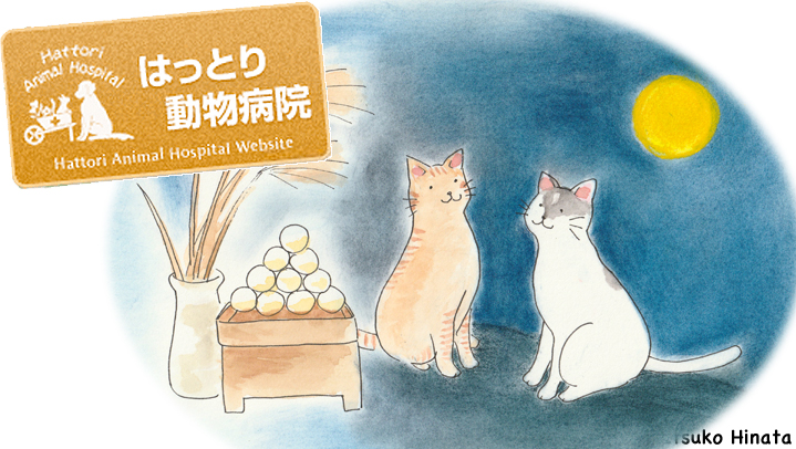 はっとり動物病院